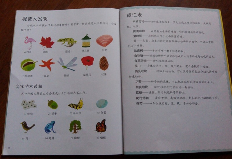 视觉