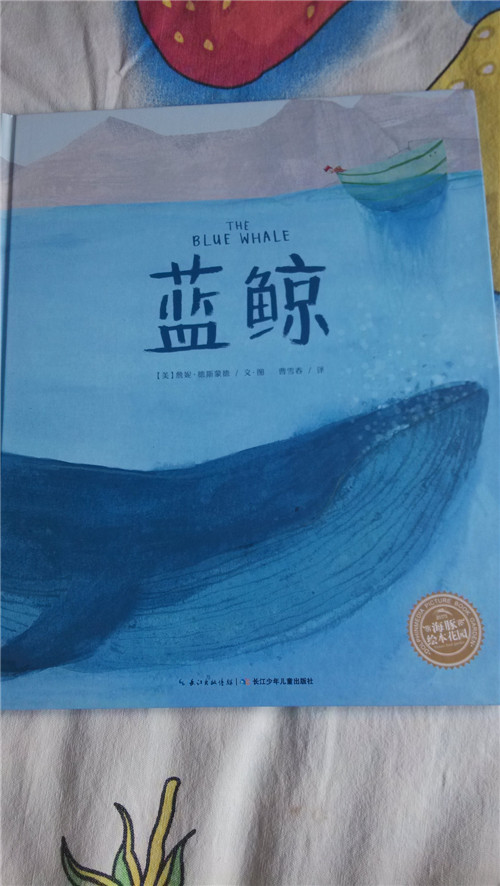 照片 340_副本