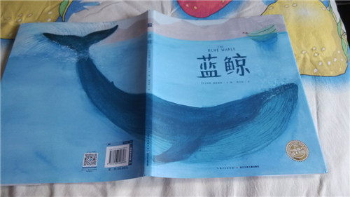 照片 341_副本
