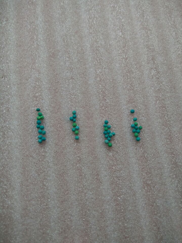 QQ图片20160624101829