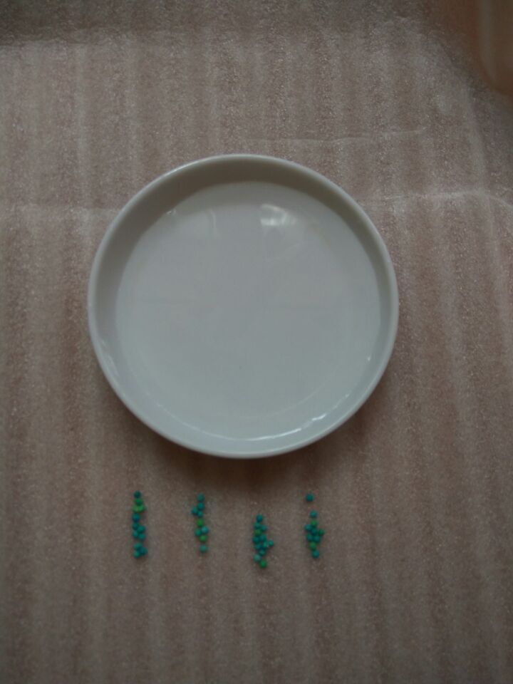QQ图片20160624101850