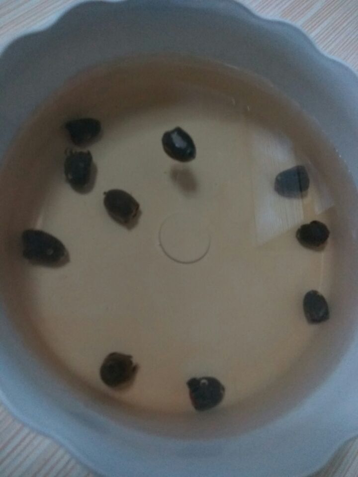 QQ图片20160624101938