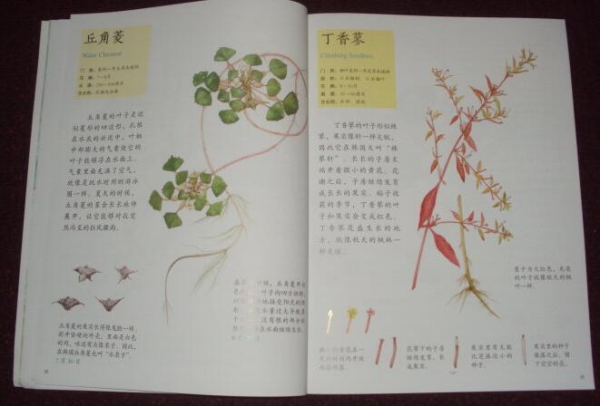 QQ截图20160627091848