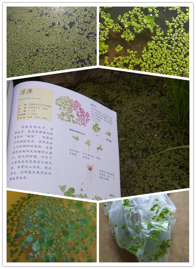 QQ图片20160626221141_副本