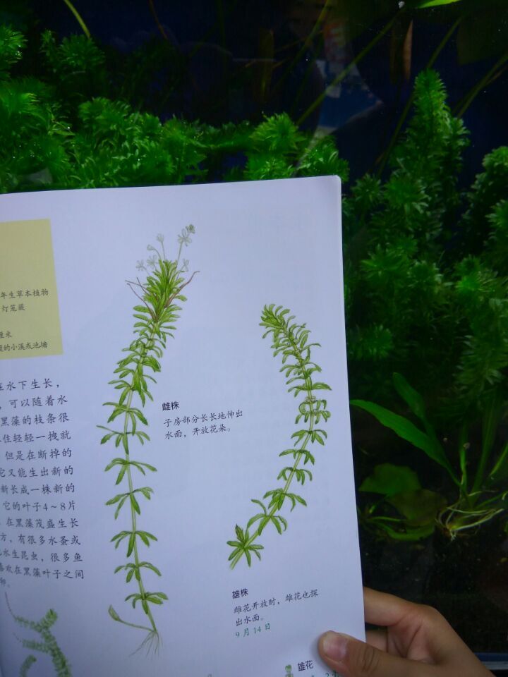 QQ图片20160626221108