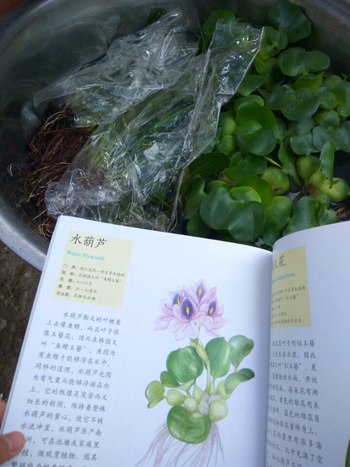 QQ图片20160626221113