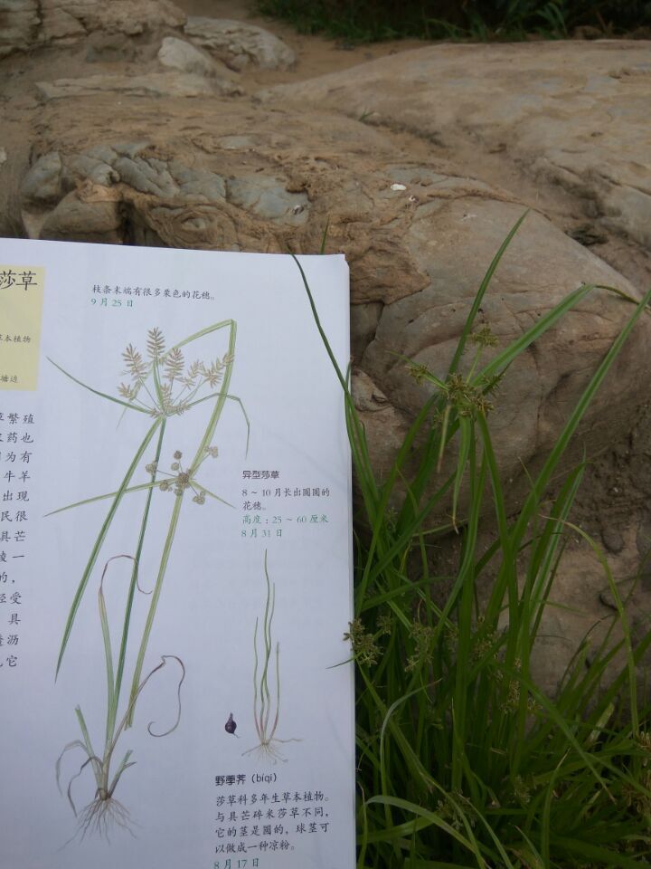 QQ图片20160626221344