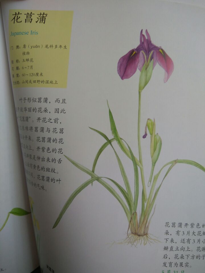 QQ图片20160629084817