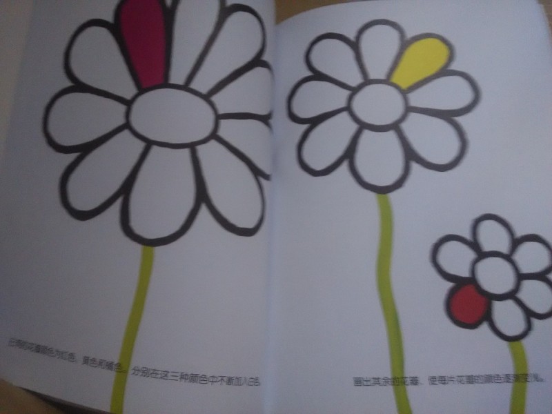花花