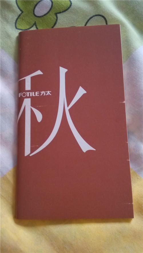 照片 169_副本