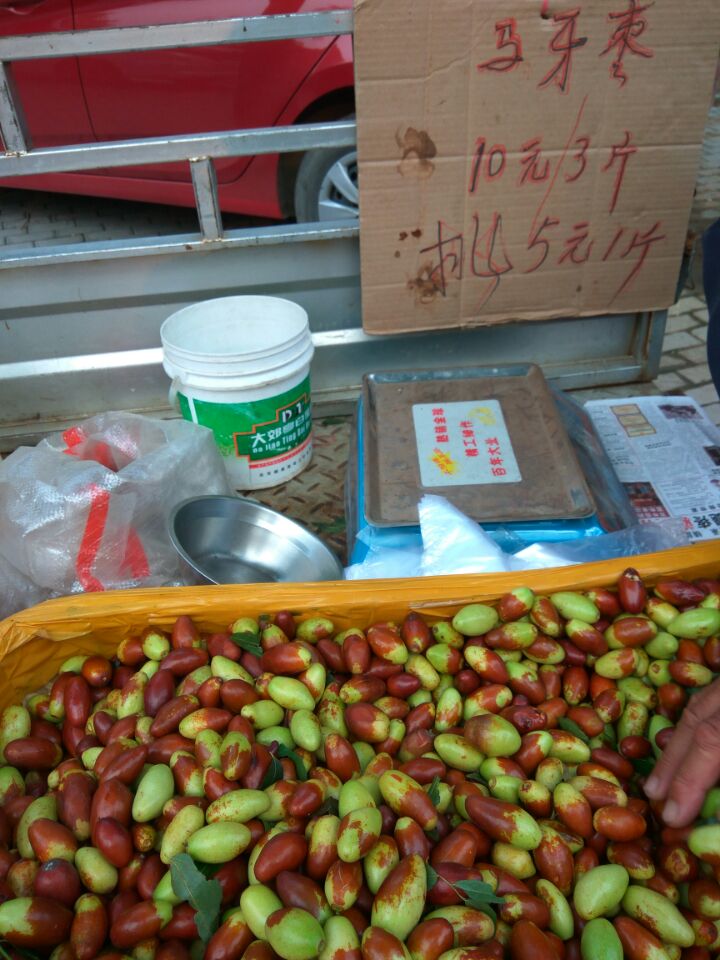 QQ图片20160914145335