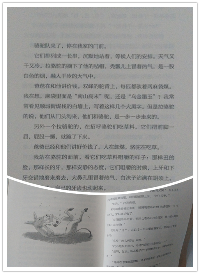 qq图片20161111091655_副本