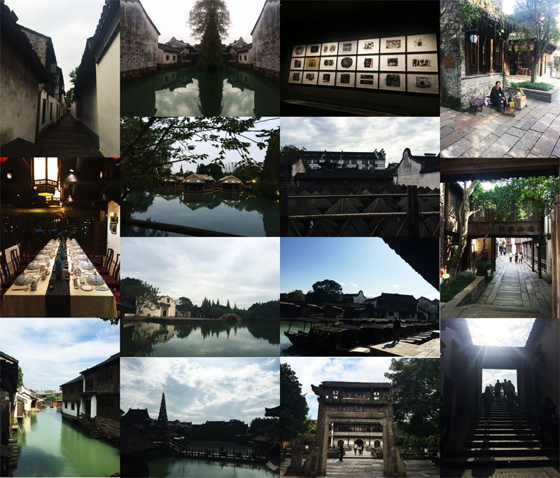 【西栅-度】