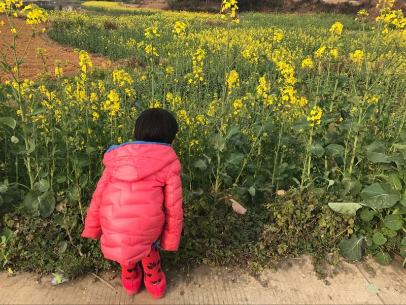 QQ图片20170227224557