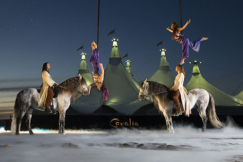 《Cavalia·舞马》演出现场