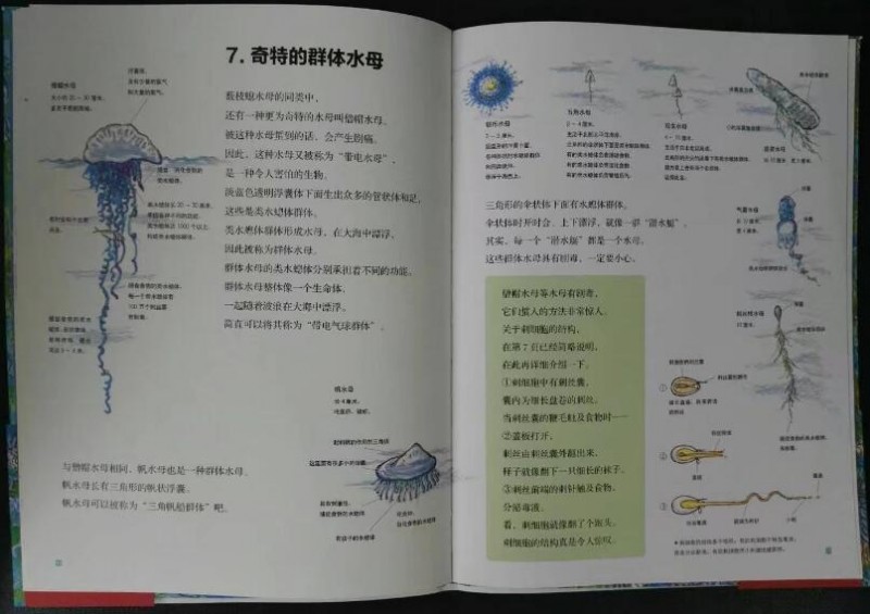 QQ截图20170413155113