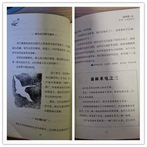 微信图片_20180106175741_副本