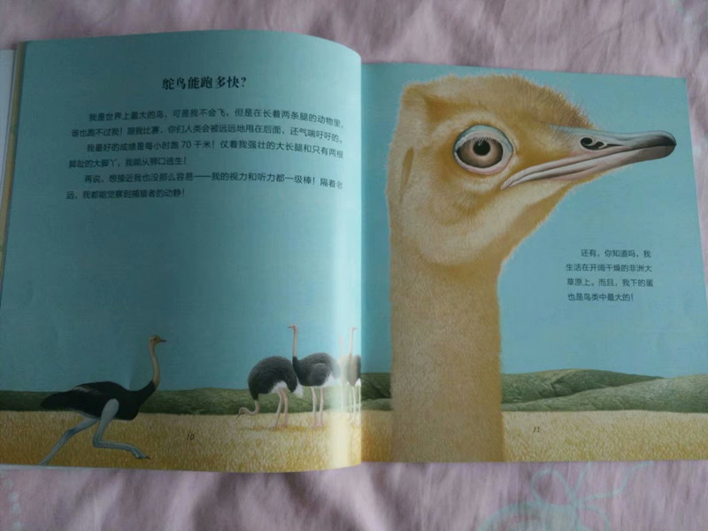 psb (17)_副本