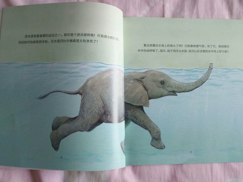 psb (18)_副本