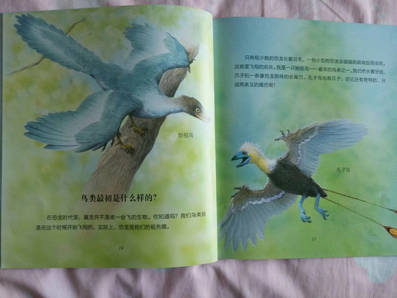psb (22)_副本