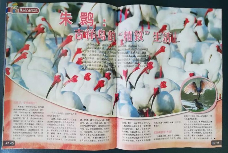 QQ截图20180716104005