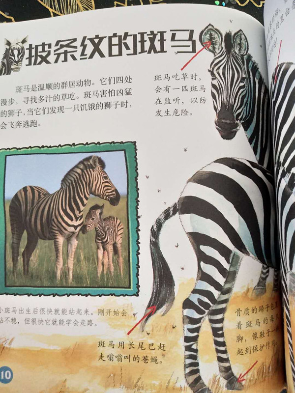 微信图片_20180914142832_副本
