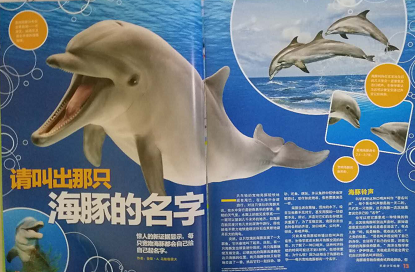微信图片_20181018132828