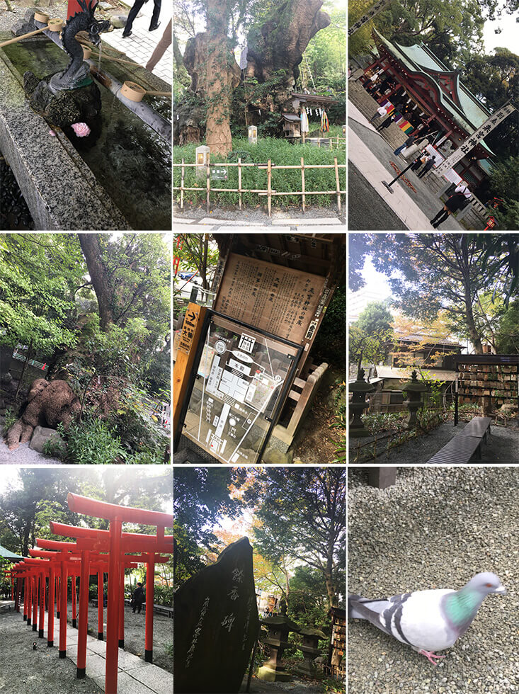 1-来宫神社