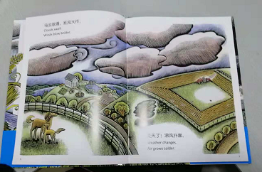 微信图片_20181203103336