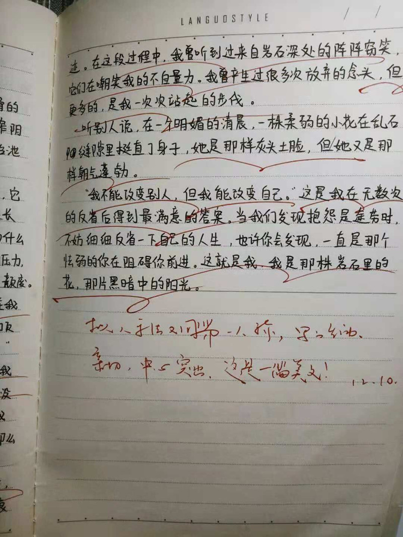 QQ图片20181211095031_副本