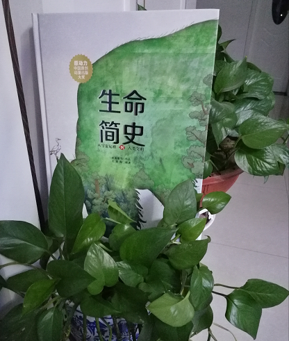 微信图片_20181213110209