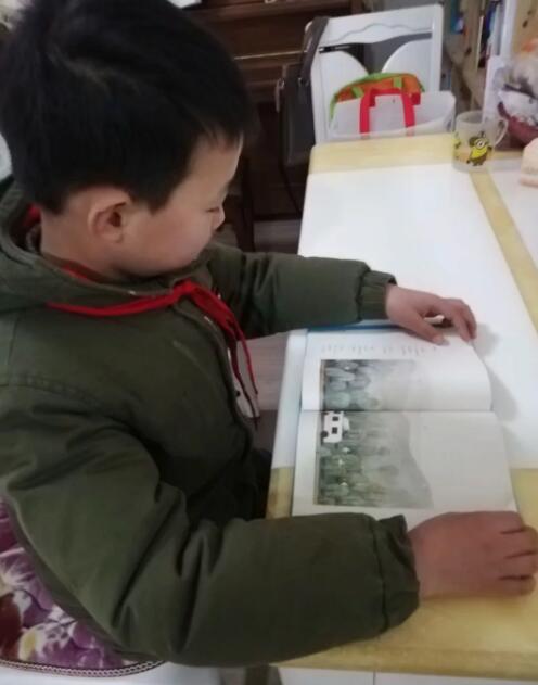 QQ截图20190226145618