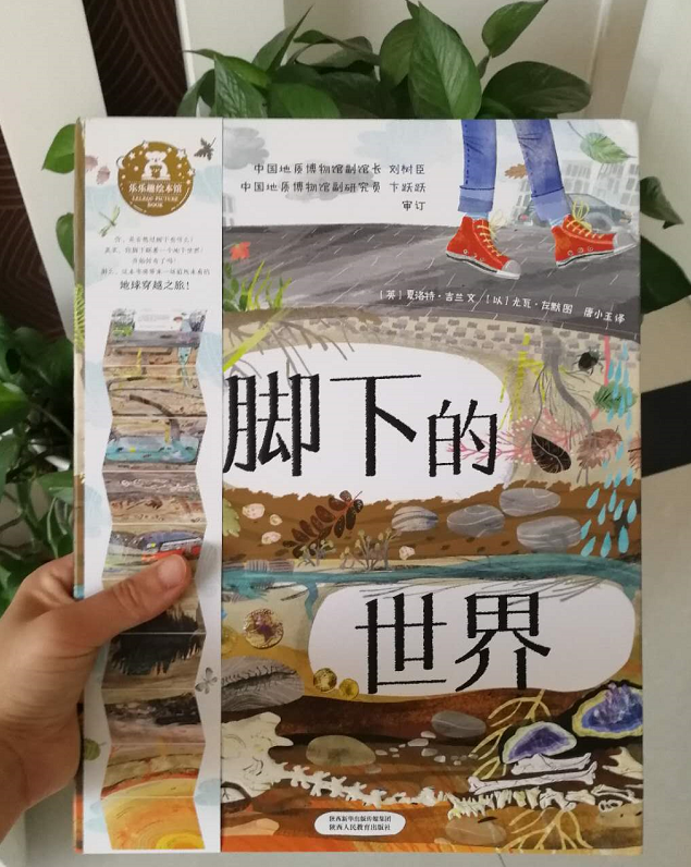 微信图片_20190510182856