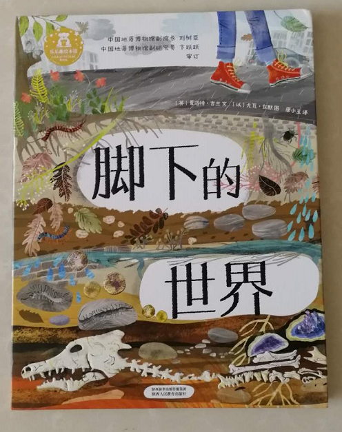 微信图片_20190510182901