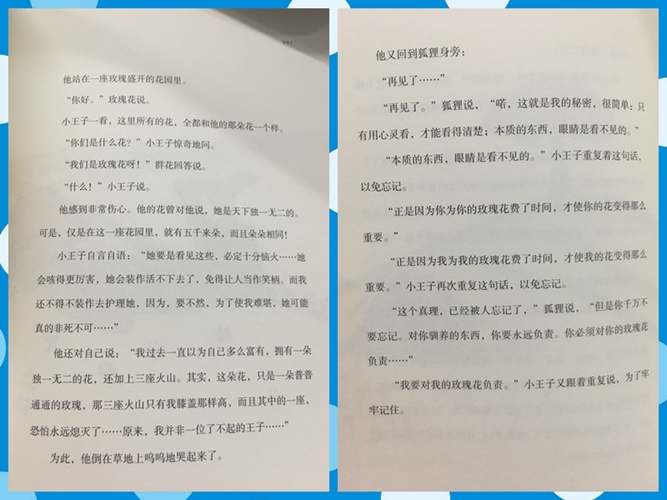 狐狸