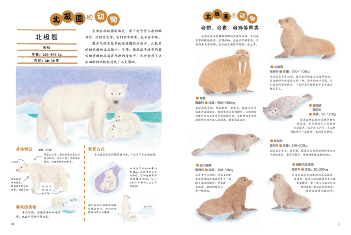 《世界动物绘本》 (4)