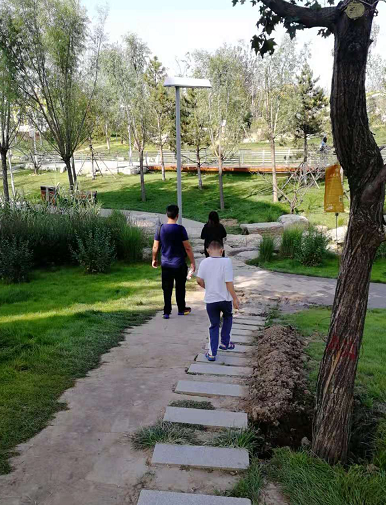微信图片_20190824174334