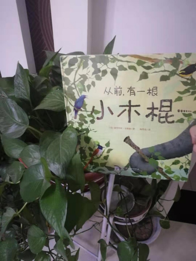 微信图片_20190919091538