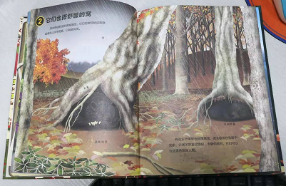 微信图片_20190918173526
