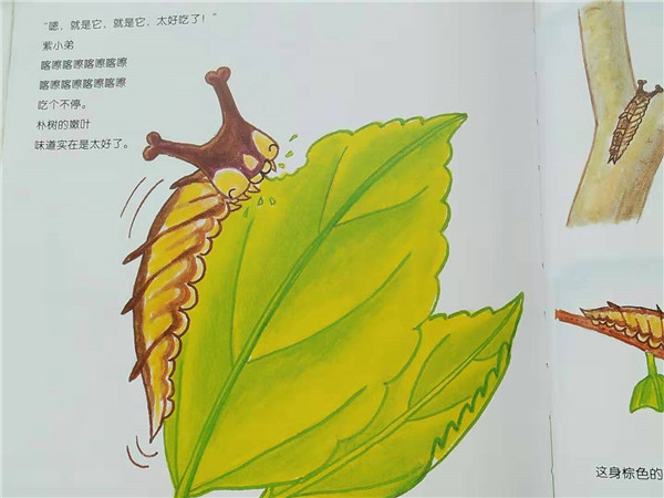 微信图片_20191001161749