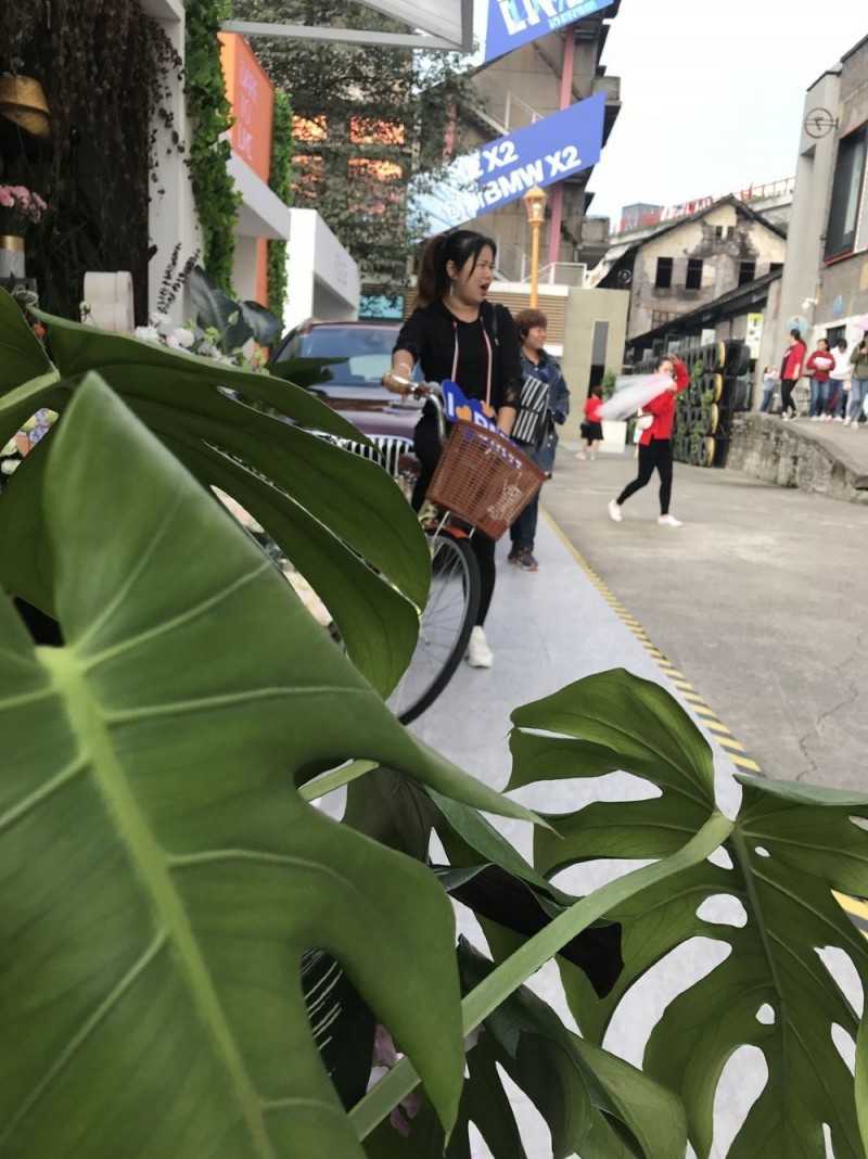 QQ图片20191023225346