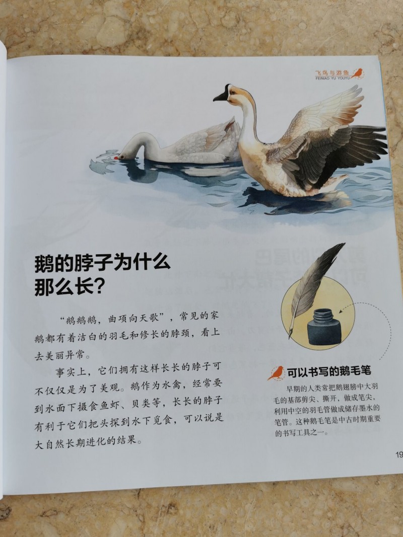 QQ图片20191027073910