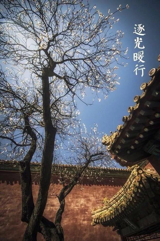 微信图片_20191108162313