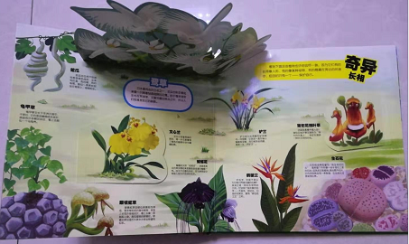 微信图片_20191115090846
