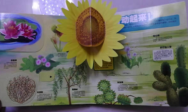微信图片_20191115090850