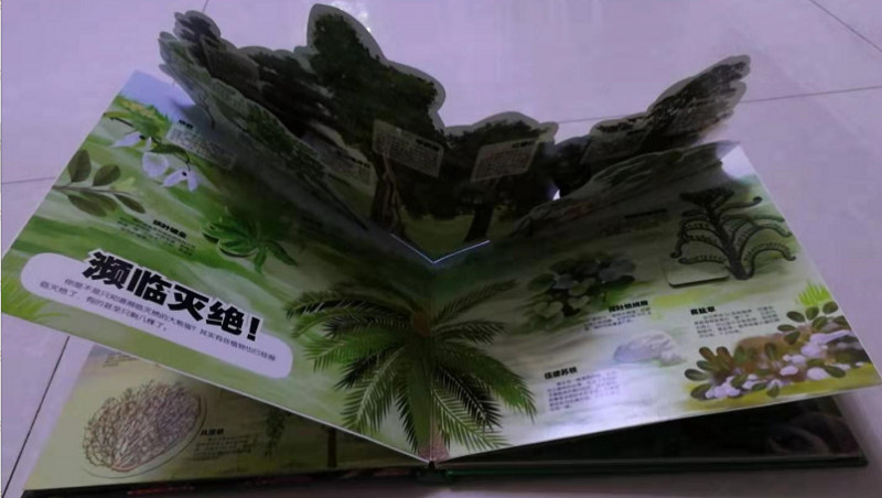 微信图片_20191115090854