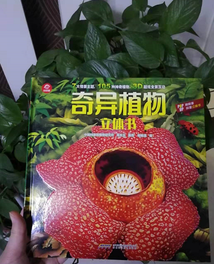 微信图片_20191115090807