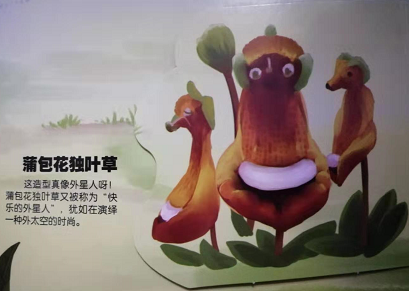 微信图片_20191115094023