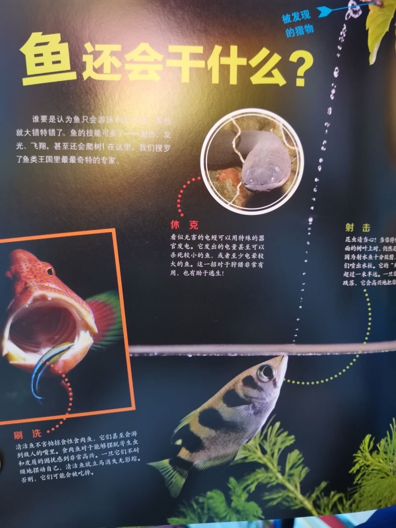 QQ图片20200420194540