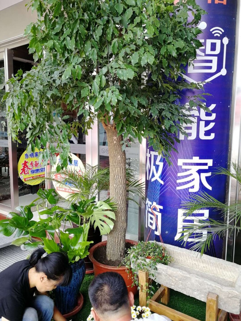 微信图片_20200501153643